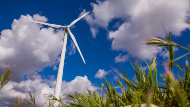 Frontansicht der Windkraftanlage — Stockvideo