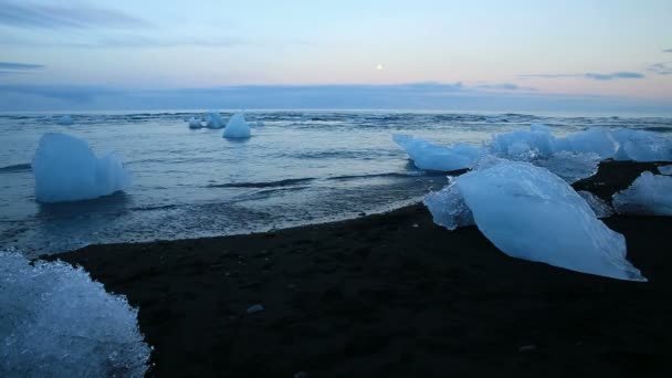 Icebergs azules y playa — Vídeo de stock