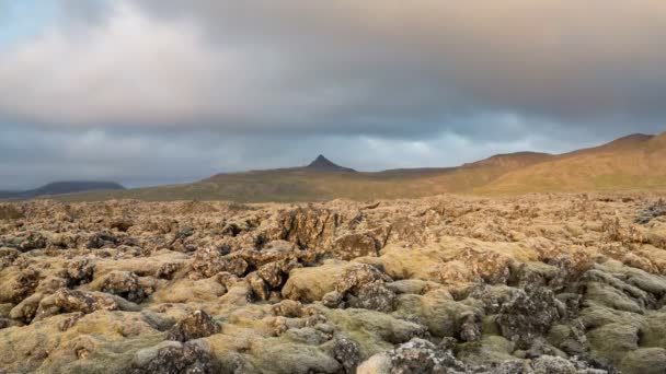 Campos de lava cobertos de musgo — Vídeo de Stock