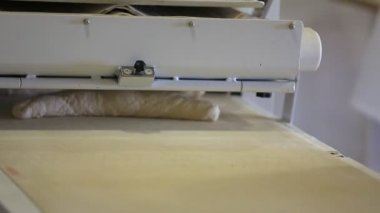 Taşıma bandından ekmek yapmak