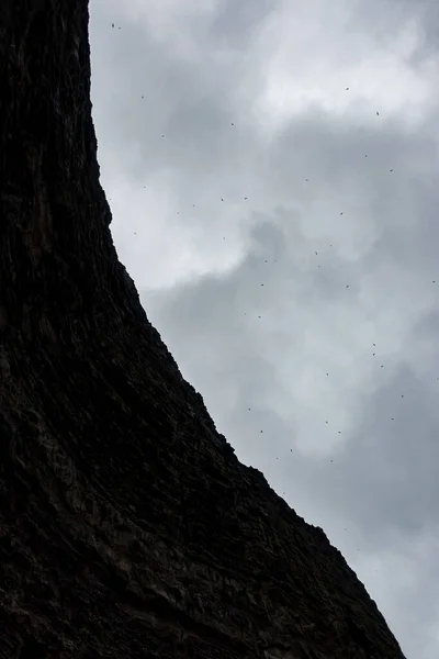 Magas függőleges szikla sok madár repül — Stock Fotó
