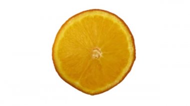 Yarı turuncu, beyaz arkaplan