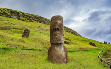 Rapa Nui 'deki çarpık moai heykelleri.