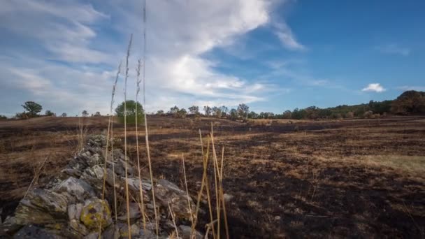 Vue de la caméra coulissante de la colline après un incendie — Video