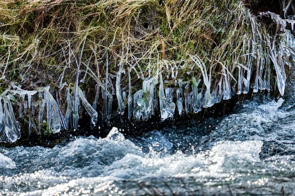 小河边结冰的草地，特写 — 图库照片