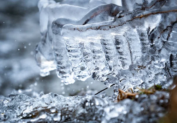 Grama congelada perto do córrego do rio no inverno frio — Fotografia de Stock