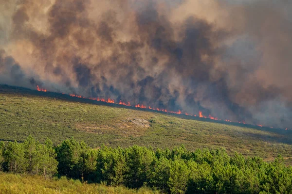 Feu dans la colline avec de la fumée sombre, plan long — Photo