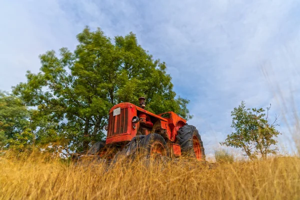 Old vintage tractor abandoned under the tree — Stock Photo, Image