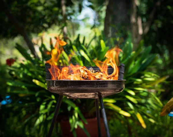Bereiden van gebarbecued vlees, close-up met vlammen — Stockfoto