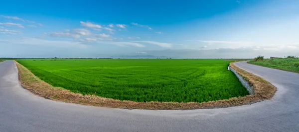 Hairpin strada curva vicino campi di riso a Valencia — Foto Stock