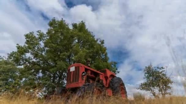 Old vintage tractor abandoned under the tree time lapse — Stock Video
