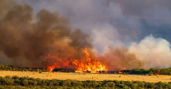 Espectacular tiro largo de bomberos en primera línea —  Fotos de Stock