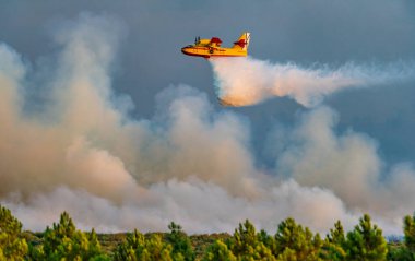 Büyük bir yangının üzerine su döken deniz uçağının profili.