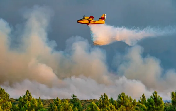 Perfil vista de hidroavião despejo de água sobre enorme incêndio — Fotografia de Stock