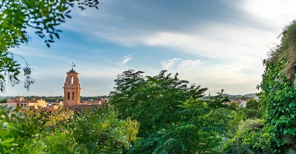 Catedral de Almansa sobre los árboles y el cielo nublado — Foto de Stock