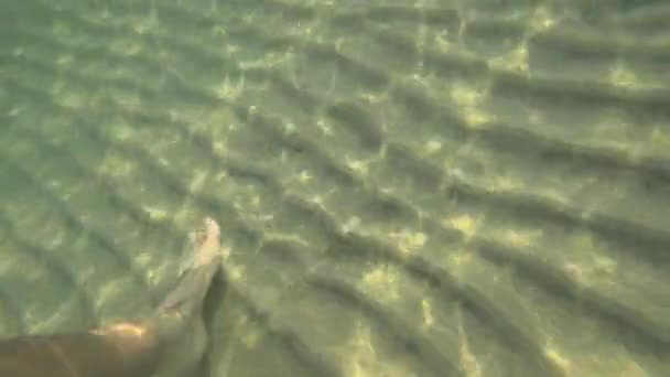 Blick von oben auf Füße, die über den Sand laufen — Stockvideo