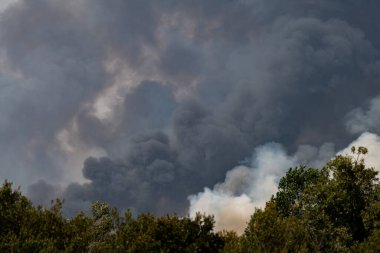 Yoğun duman yükselir, orman üzerindeki gökyüzünü karartır, büyük bir ateş yanar..