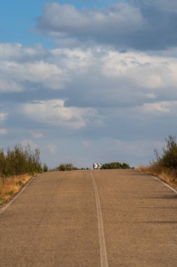 Bulutlu bir gökyüzünün altında uzanan boş bir yol, yanında seyrek bir bitki örtüsüyle..
