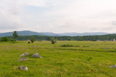 Dağlar ve orman içinde geçmiş ile yeşil alan. Manzara. Bulutlu gün.