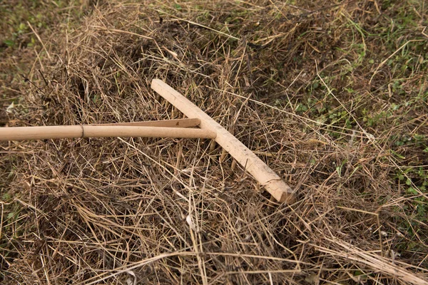 古い乾燥草で木製の熊手干し草 フィールドと農業ツール — ストック写真