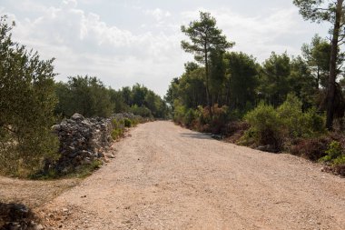 Boş şose ve tozlu yol yalak vahşi ve Hırvat orman Brac Adası. Yol yalak doğa yeşil orman ve yaz aylarında mavi gökyüzü ile. Çakıl yol.
