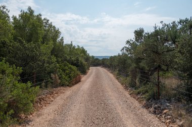 Boş şose ve tozlu yol yalak vahşi ve Hırvat orman Brac Adası. Yol yalak doğa yeşil orman ve yaz aylarında mavi gökyüzü ile. Çakıl yol
