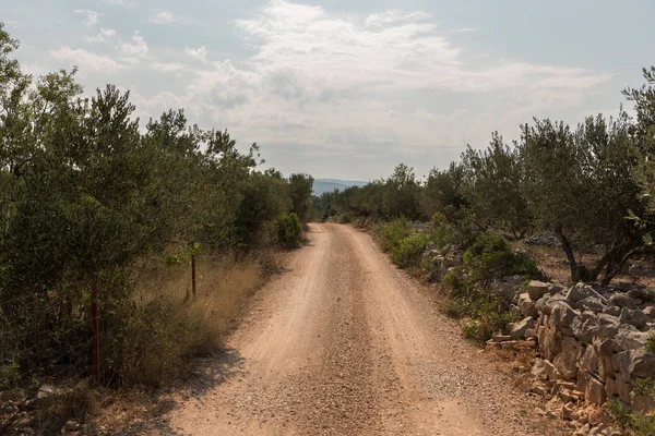 Boş şose ve tozlu yol yalak vahşi ve Hırvat orman Brac Adası. Yol yalak doğa yeşil orman ve yaz aylarında mavi gökyüzü ile. Çakıl yol