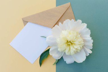 Beyaz Şakayık Çiçeği sarı ve yeşil renkli arka plan üzerinde metin b zarf, davetiye kartı