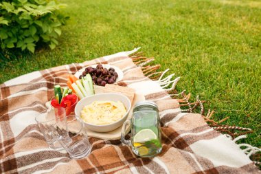Piknik çim parkta, kareli bir kahverengi ekose aperatifler, sebze, meyve, su banka ve gözlük, insanlar olmadan.