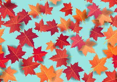 Dikişsiz desen arka plan Sonbaharda akçaağaç yaprakları