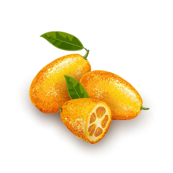 Kumquat de frutas exóticas con hojas verdes en el plato . — Vector de stock
