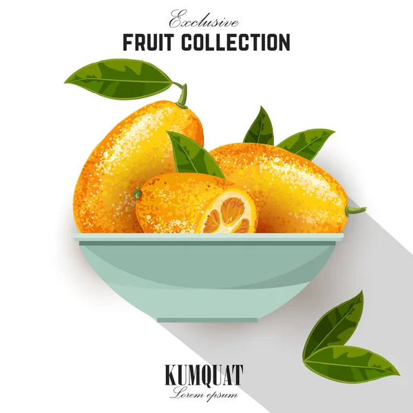 Kumquat de frutas exóticas com folhas verdes no prato . — Vetor de Stock