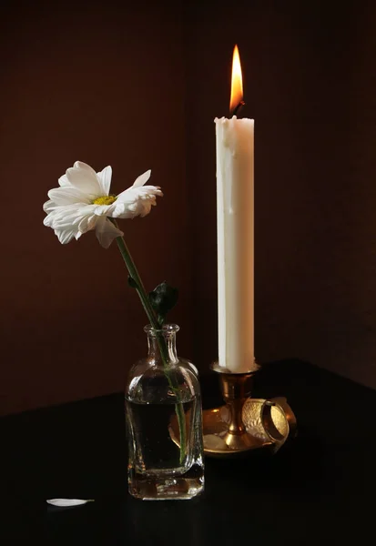 Zátiší Vadnutí Sedmikráska Květ Malé Vinobraní Skleněné Láhve Hořící Svíčka — Stock fotografie