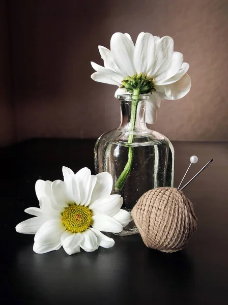 Fleurs, fil et aiguille à coudre — Photo