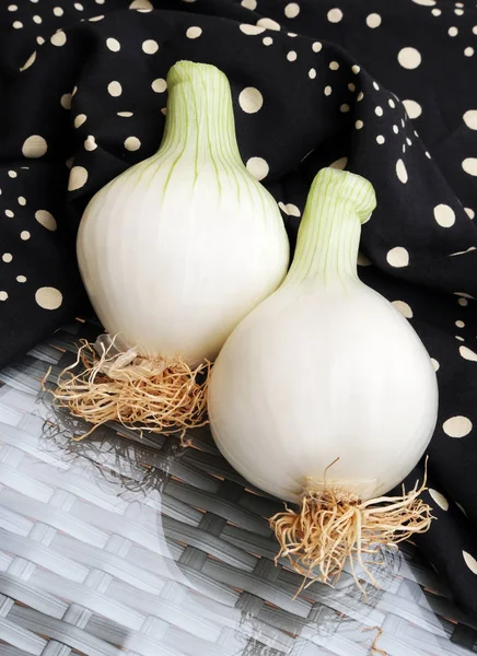 White onion bulbs — Stock Photo, Image