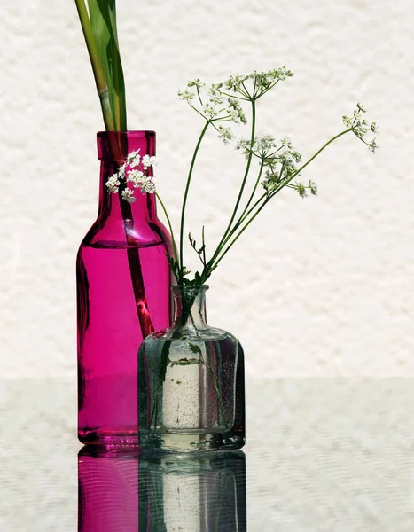 Wilde bloemen in een kleuren fles — Stockfoto