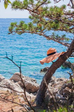 Bir çam kayalık sahil üzerinde asılı terk edilmiş hasır şapka.