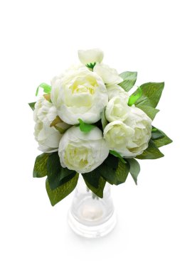 Şakayık çiçekleri beyaz izole