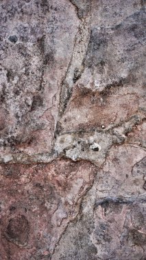 Makro güzel soyut Grunge dekoratif sıva duvar kökenli