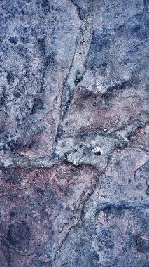 Makro güzel soyut Grunge dekoratif sıva duvar kökenli