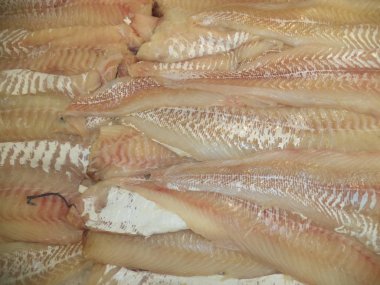 Taze morina fileto balık