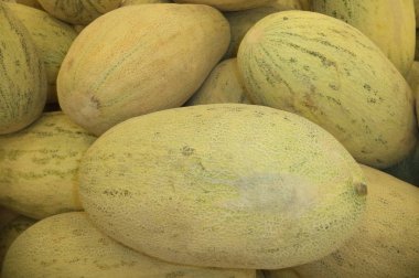 Olgun kavun çeşitleri torpido