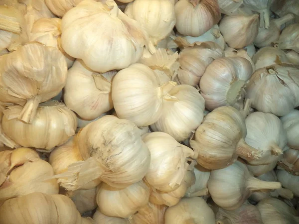 Aglio Fresco Della Nuova Coltura — Foto Stock