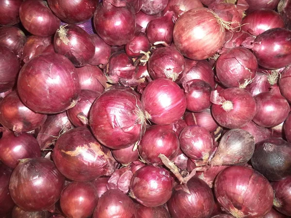 Cipolle Rosse Fresche Della Nuova Coltura — Foto Stock