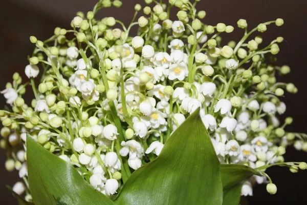 beautiful bouquet of Lily of the valley flowers