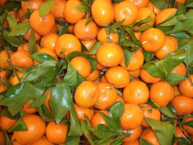 taze olgun mandalina ile yeşil yeşillik bir avuç