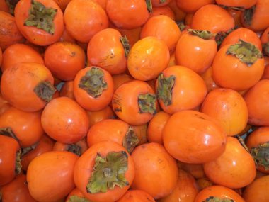 bir demet taze olgun Trabzon hurması yeni mahsul