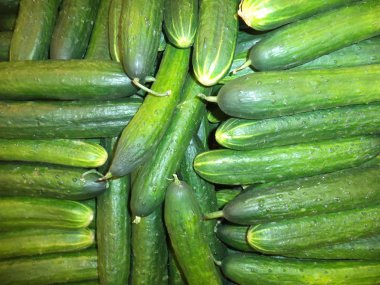 bir sürü taze salatalık uzun meyveli