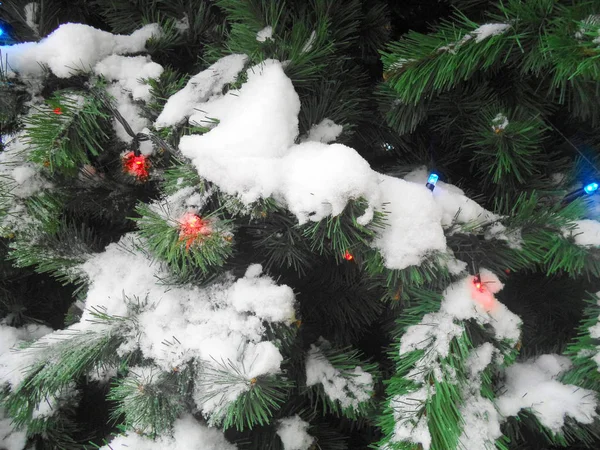 Ramas Del Árbol Navidad Bajo Nieve — Foto de Stock