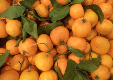 yeşil yeşillik ile olgun sulu mandalina